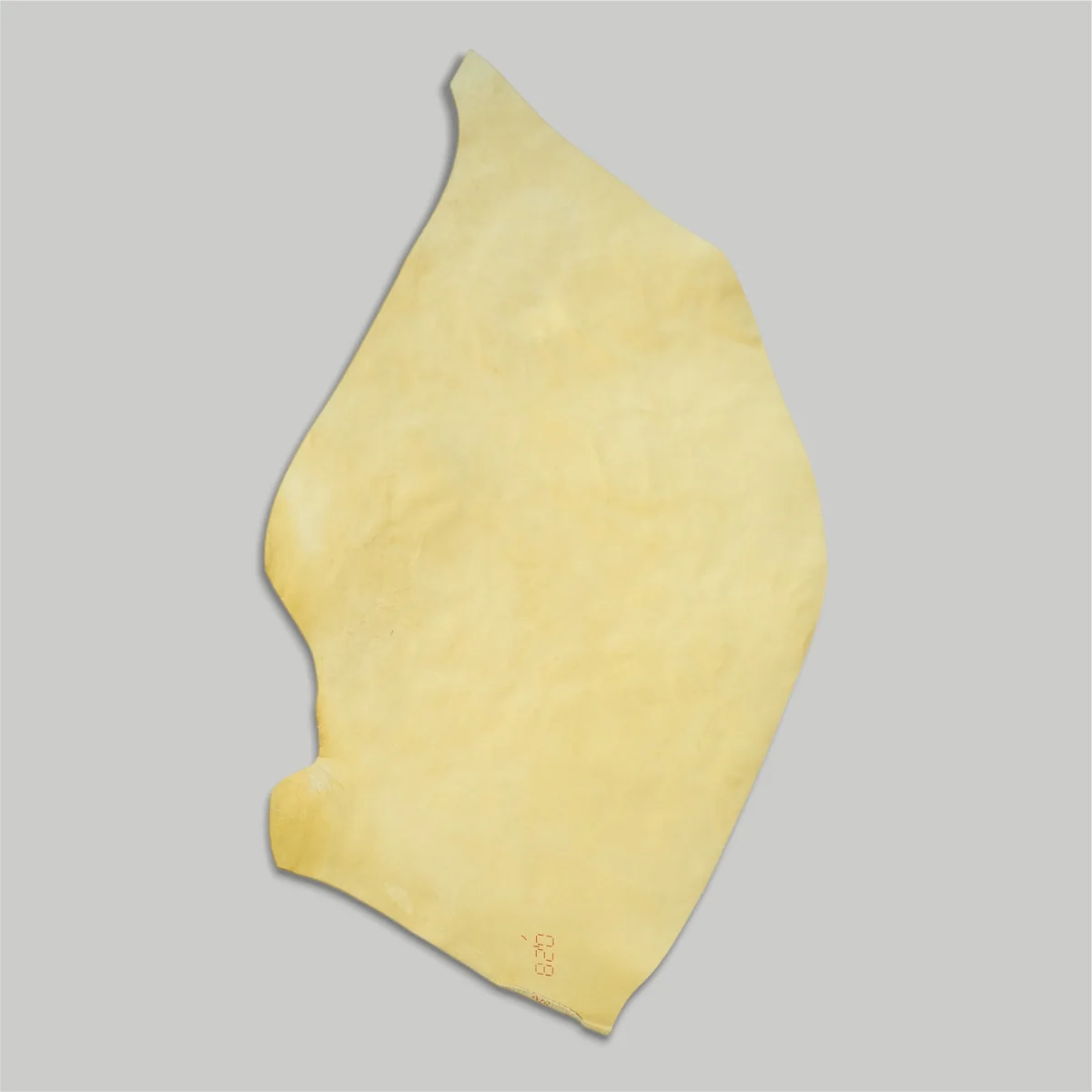 Atlantica Leather S.r.L - Shell Cordovan - Image 11