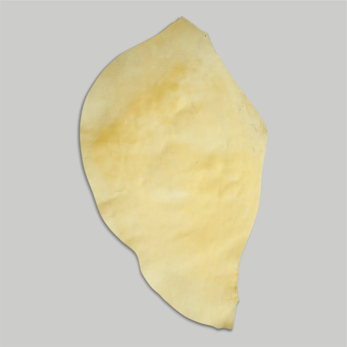 Atlantica Leather S.r.L - Shell Cordovan - Image 13