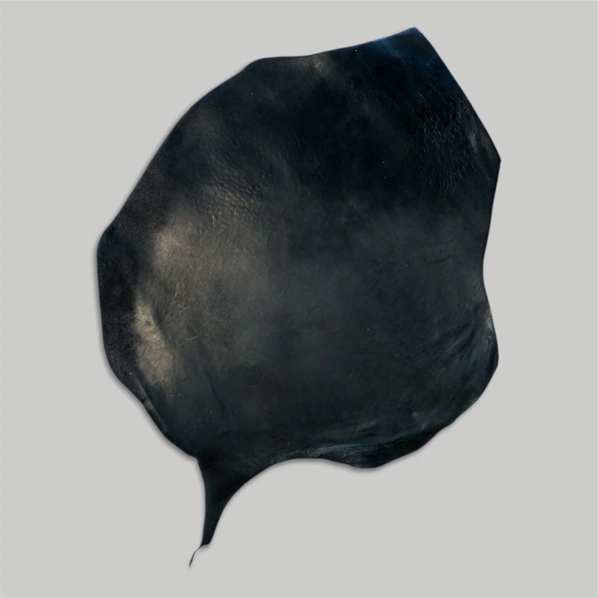 Atlantica Leather S.r.L - Shell Cordovan - Image 21