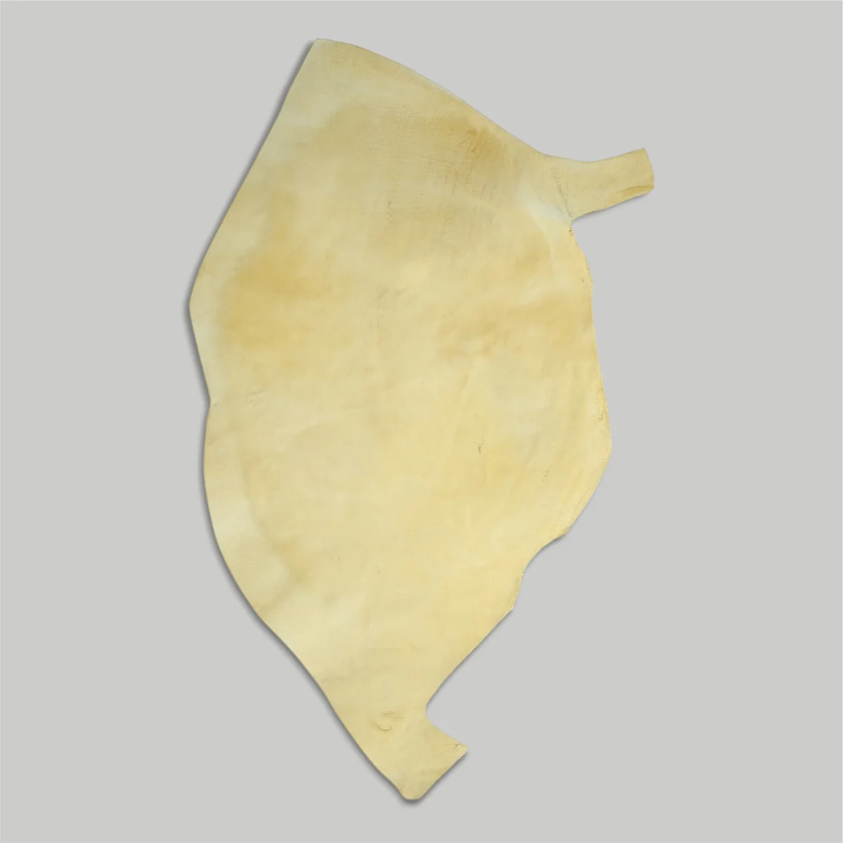 Atlantica Leather S.r.L - Shell Cordovan - Image 3
