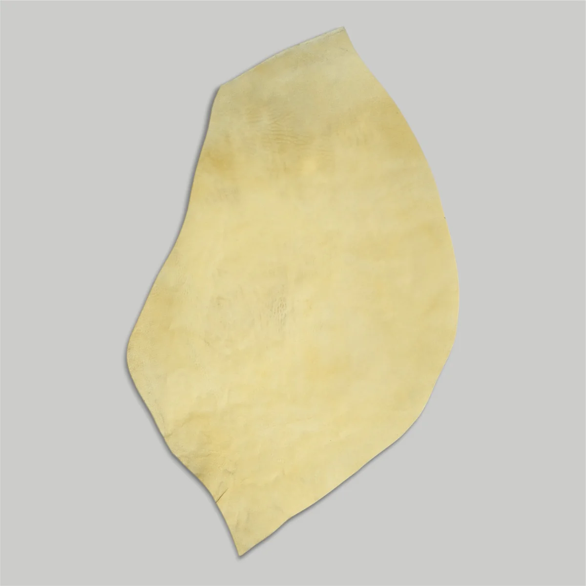 Atlantica Leather S.r.L - Shell Cordovan - Image 5