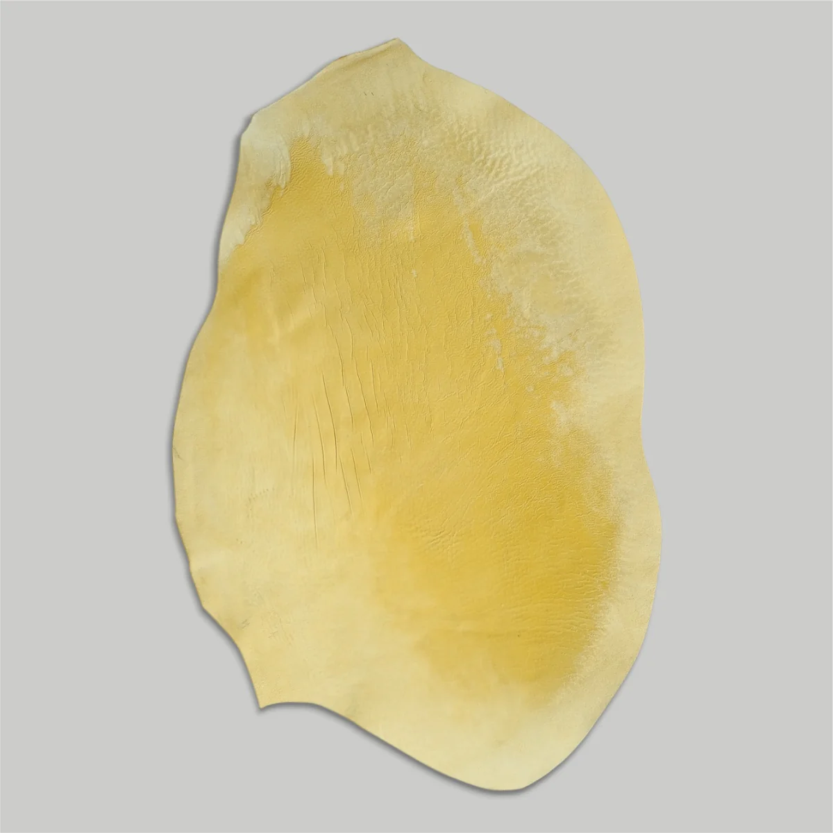 Atlantica Leather S.r.L - Shell Cordovan - Image 9
