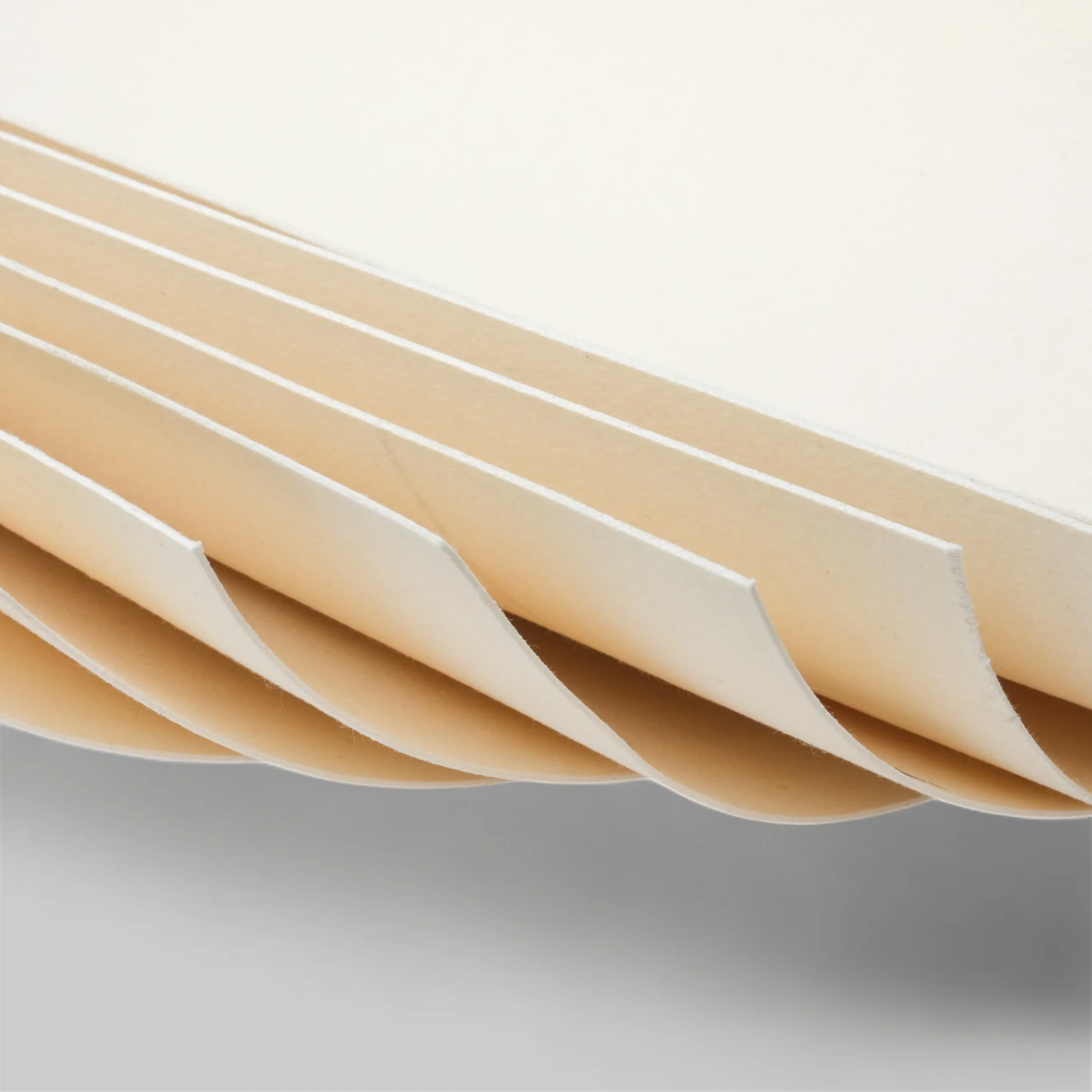 Celastic - Shoe Stiffener - Image 2