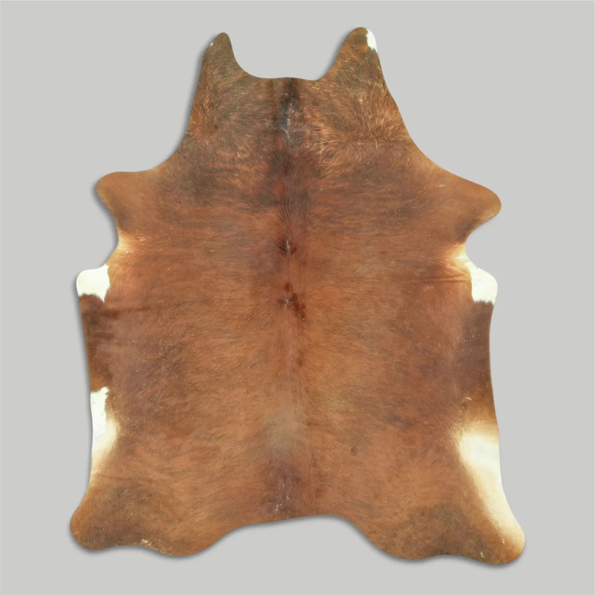 Cowhide Rug - Image 40