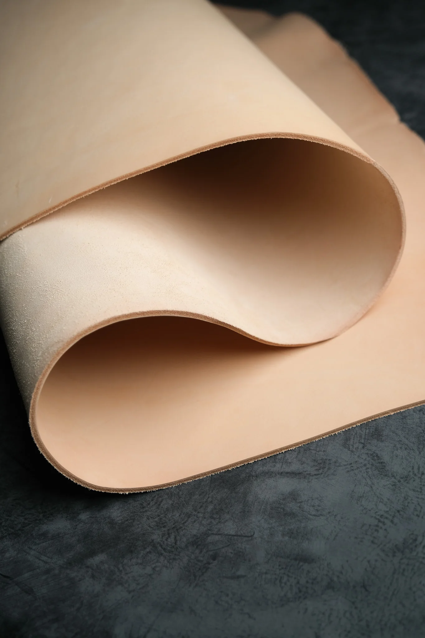 Euro Veg / Bend / 2 Colours - Image 3