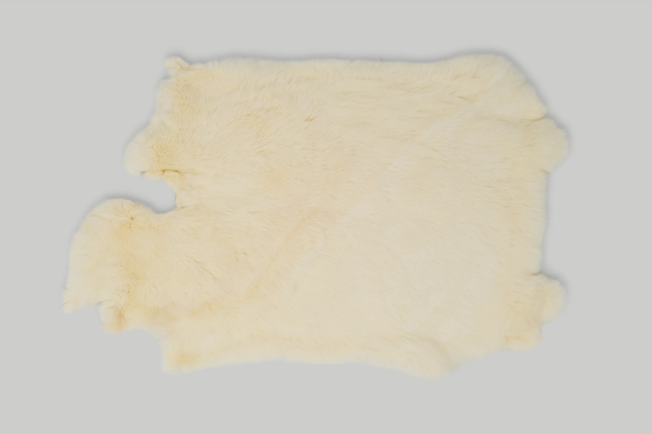 RABBIT / 14 COLOURS - Image 13
