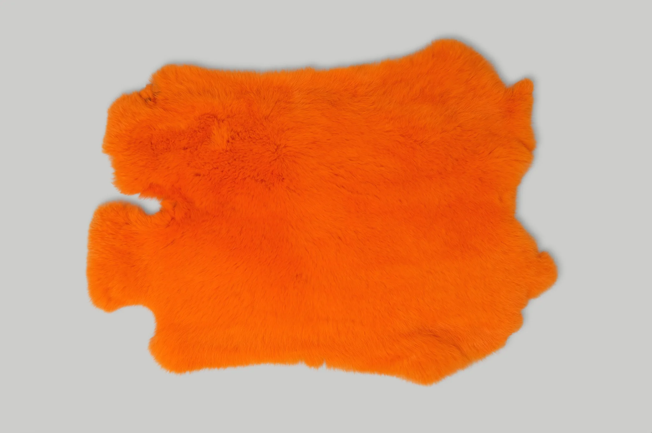 RABBIT / 14 COLOURS - Image 2