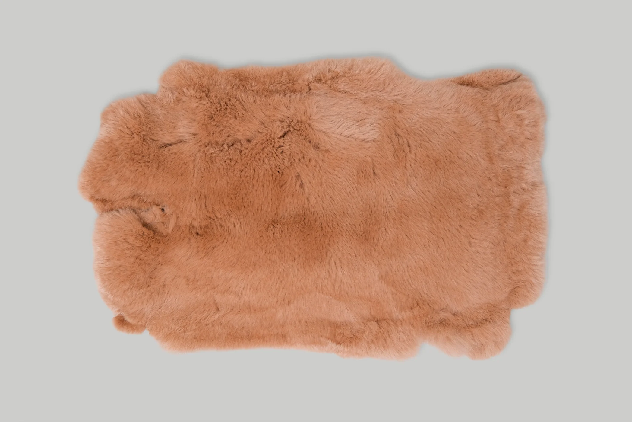 RABBIT / 14 COLOURS - Image 5